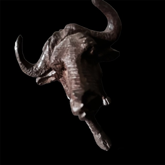 ηεψ African Cape Buffalo Vintage Solid Intricate Hand-Carved Namibian Waxed Wood - Picture 15 of 16